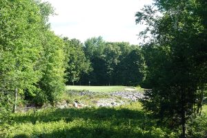 Sugarloaf 15th Trees
